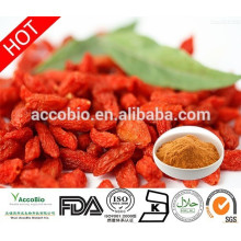 L&#39;usine offre l&#39;extrait naturel de baie de Goji, fruit traditionnel de Chinease pour la santé de rein